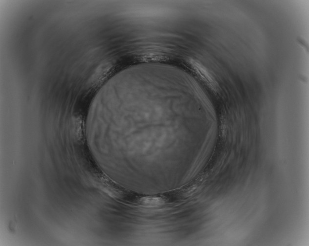 X0000091010169200708241520