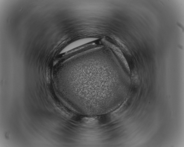 X0000091010170200708241520