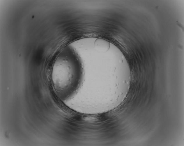 X0000091010171200708241520