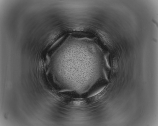 X0000091010172200708241520