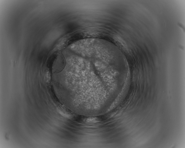 X0000091010173200708241520