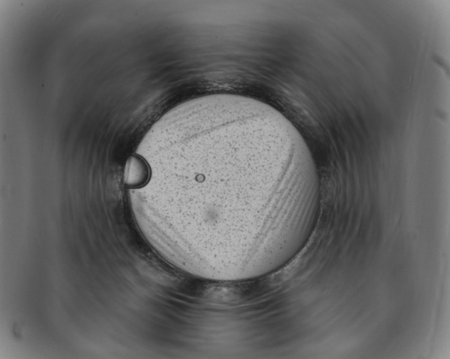 X0000091010174200708241521