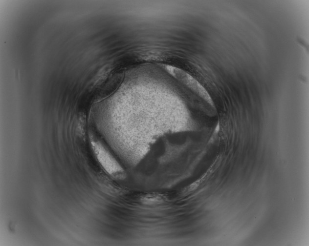 X0000091010175200708241521