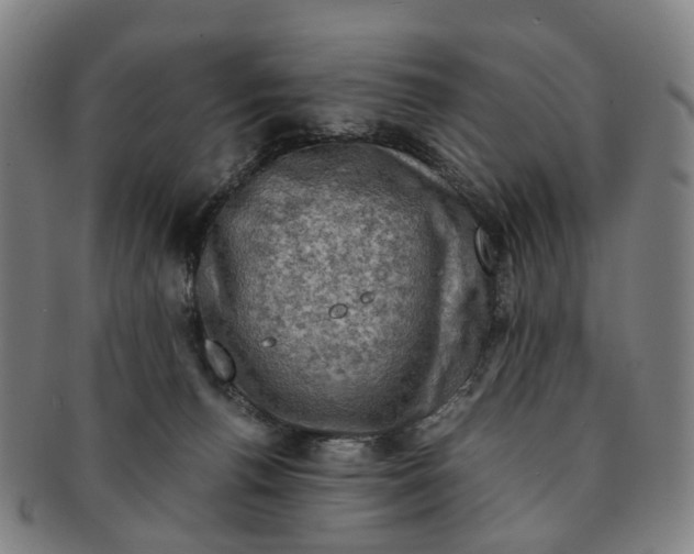 X0000091010176200708241521