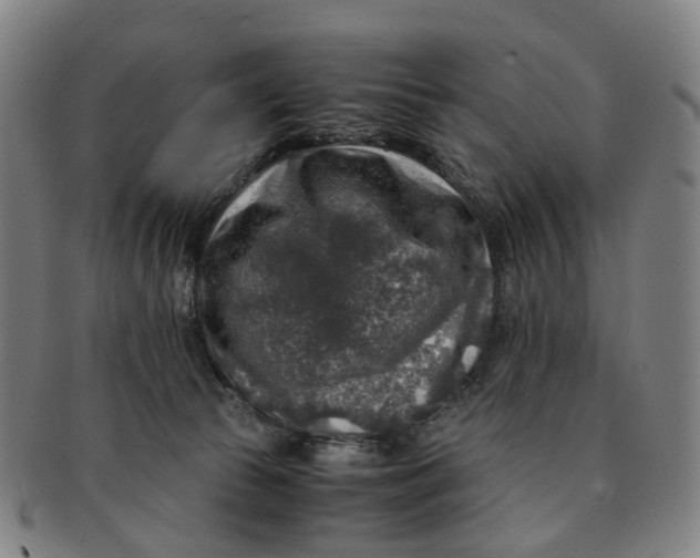 X0000091010177200708241521