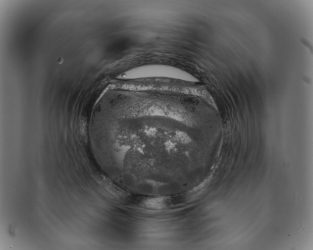 X0000091010178200708241521