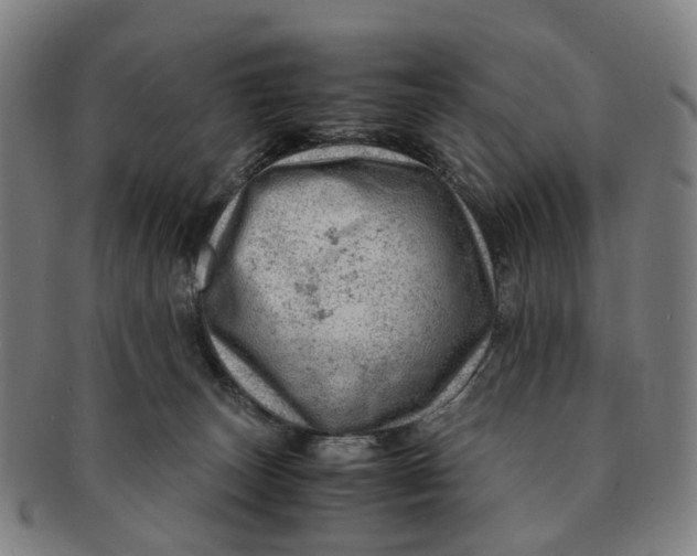 X0000091010179200708241521