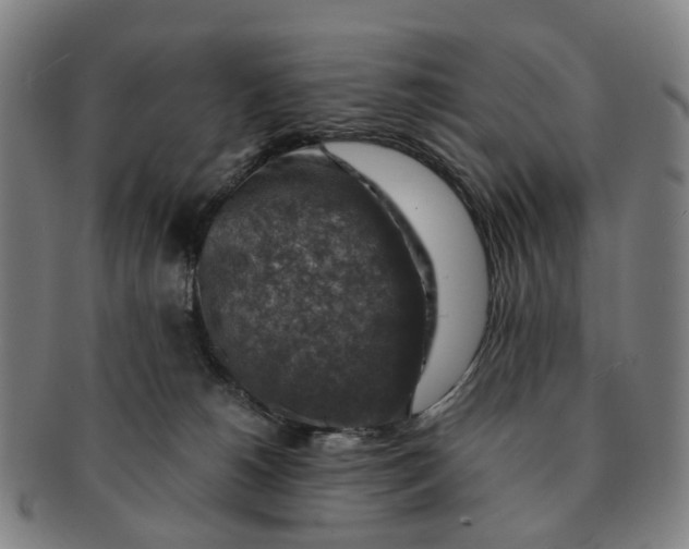 X0000091010180200708241521