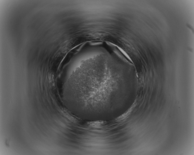 X0000091010182200708241521