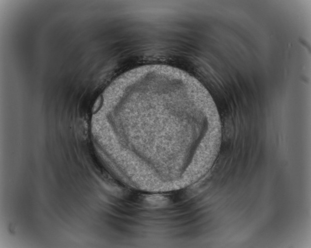 X0000091010183200708241521