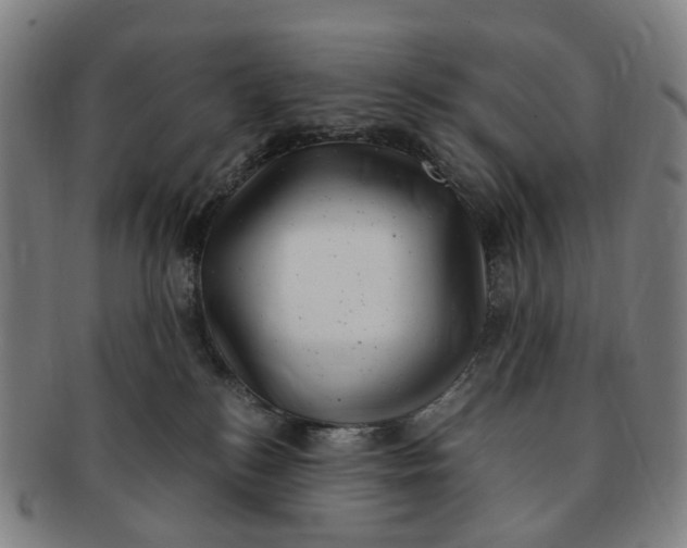 X0000091010184200708241521