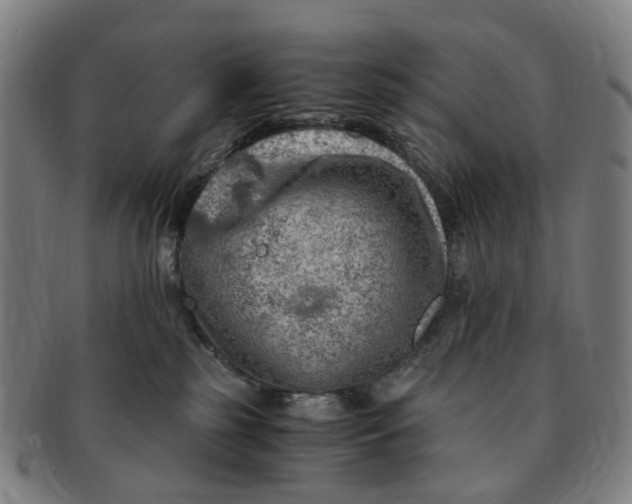 X0000091010185200708241521