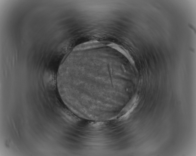 X0000091010186200708241521