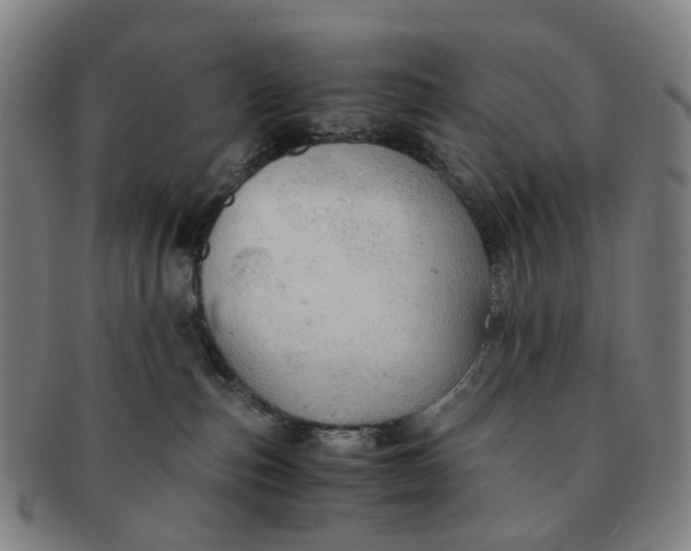 X0000091010187200708241521