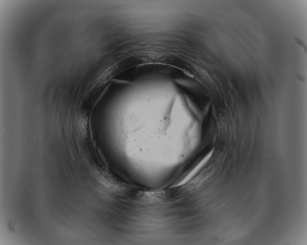 X0000091010188200708241521