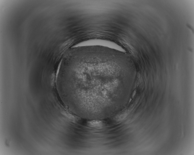 X0000091010189200708241521