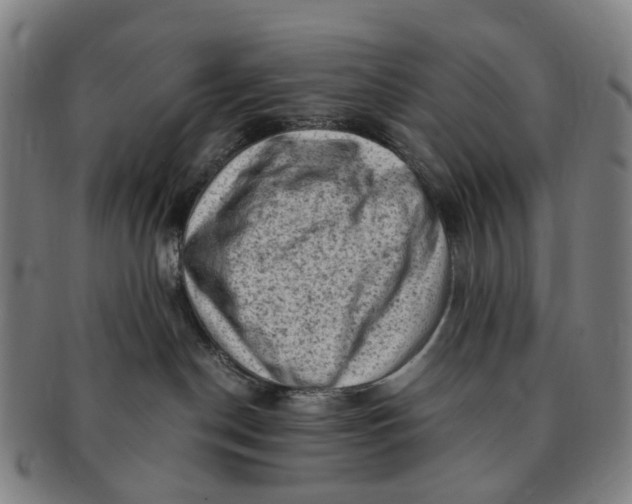 X0000091010190200708241521