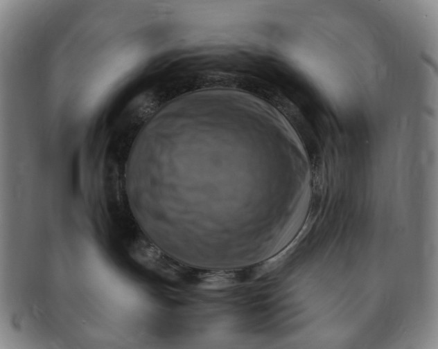 X0000091010191200708241521