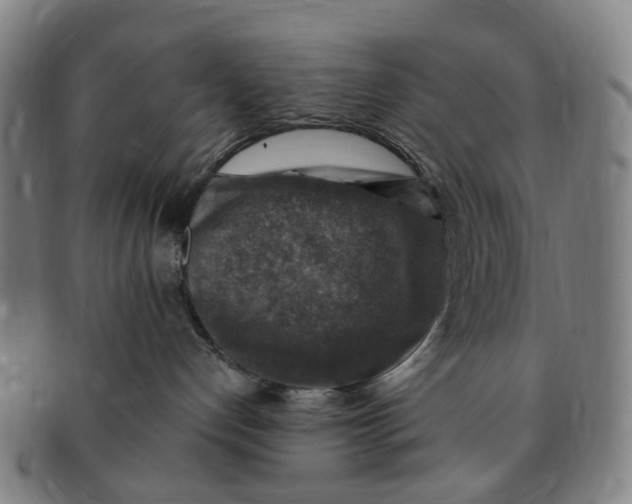 X0000091010192200708241521