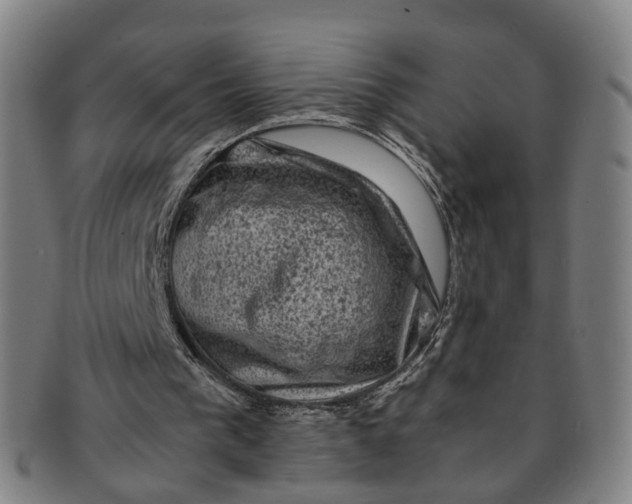 X0000091010193200708241520