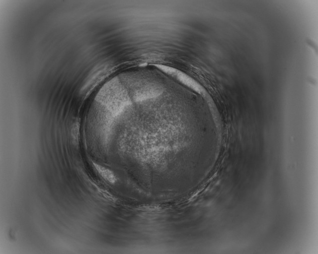 X0000091010194200708241520