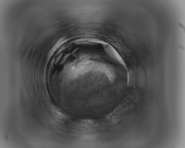 X0000091010195200708241520