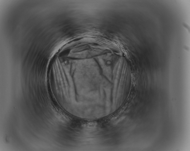 X0000091010196200708241520