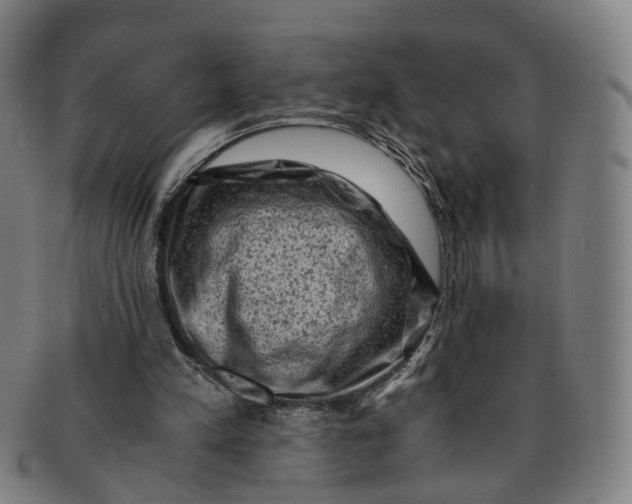 X0000091010197200708241520