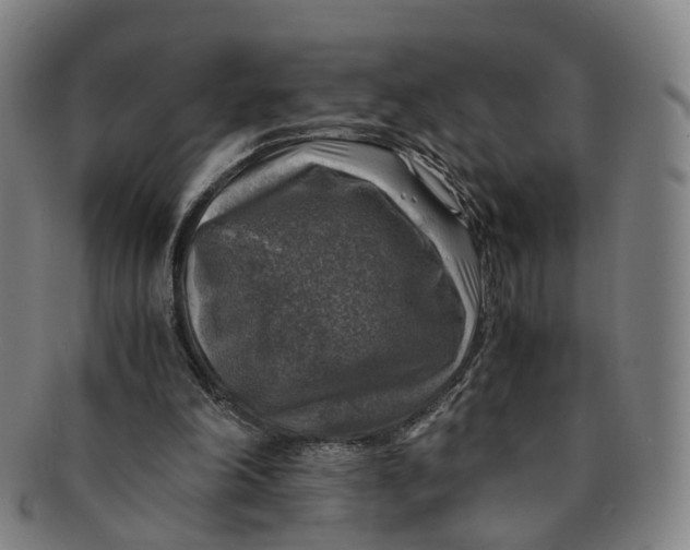 X0000091010198200708241520