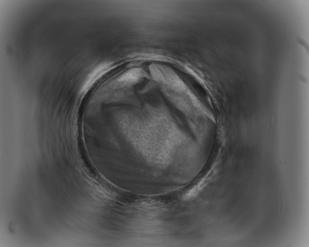 X0000091010199200708241520