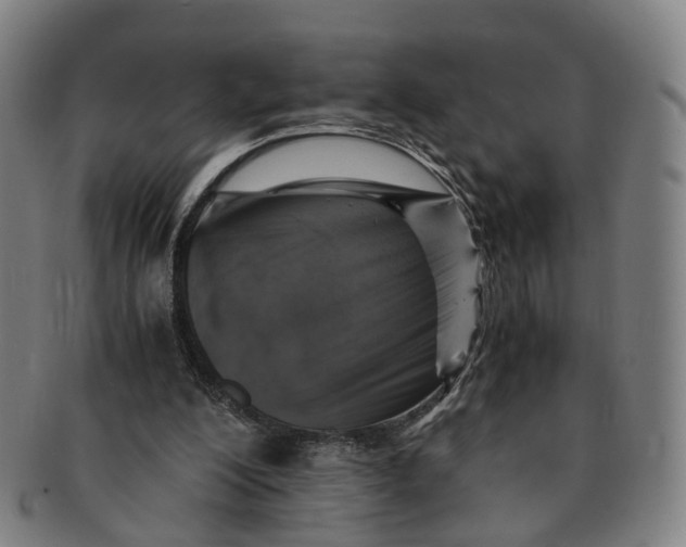 X0000091010200200708241520