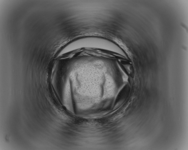 X0000091010201200708241520