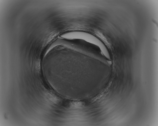 X0000091010202200708241520