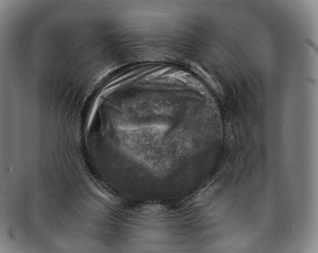 X0000091010203200708241520