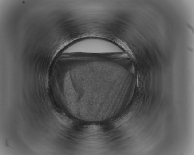 X0000091010204200708241520