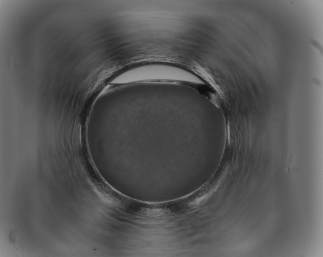 X0000091010205200708241520