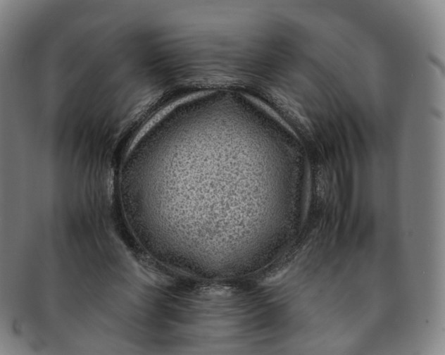 X0000091010206200708241520