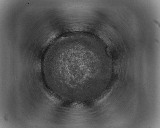 X0000091010207200708241520