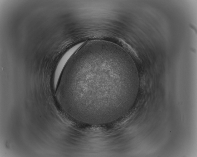 X0000091010209200708241520