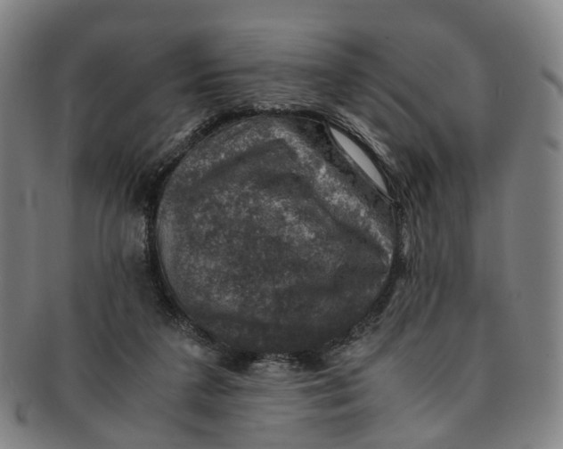 X0000091010211200708241520