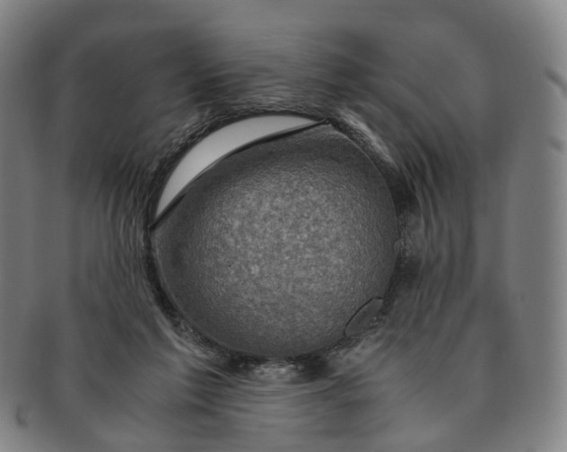 X0000091010213200708241520