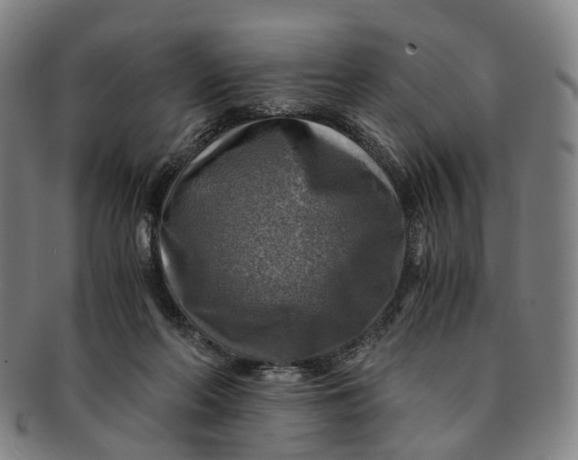 X0000091010214200708241520