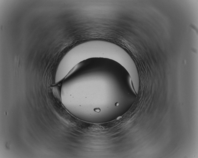 X0000091010215200708241520