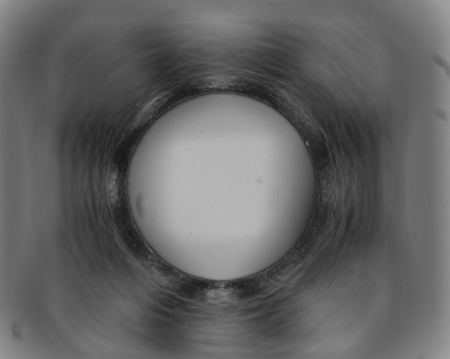 X0000091010216200708241520