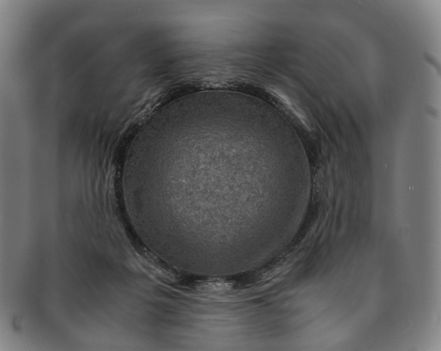 X0000091010217200708241520