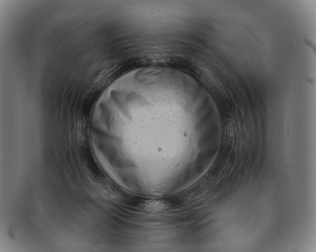 X0000091010218200708241520