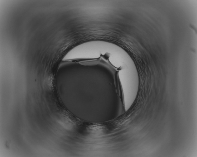 X0000091010219200708241520