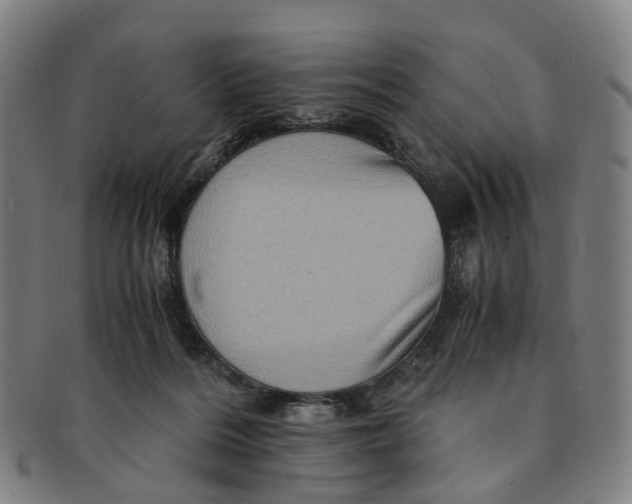 X0000091010220200708241520