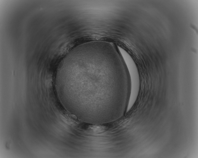 X0000091010221200708241520