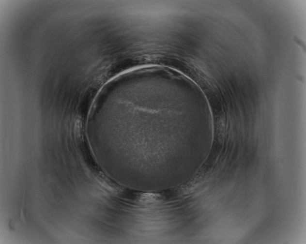 X0000091010222200708241520